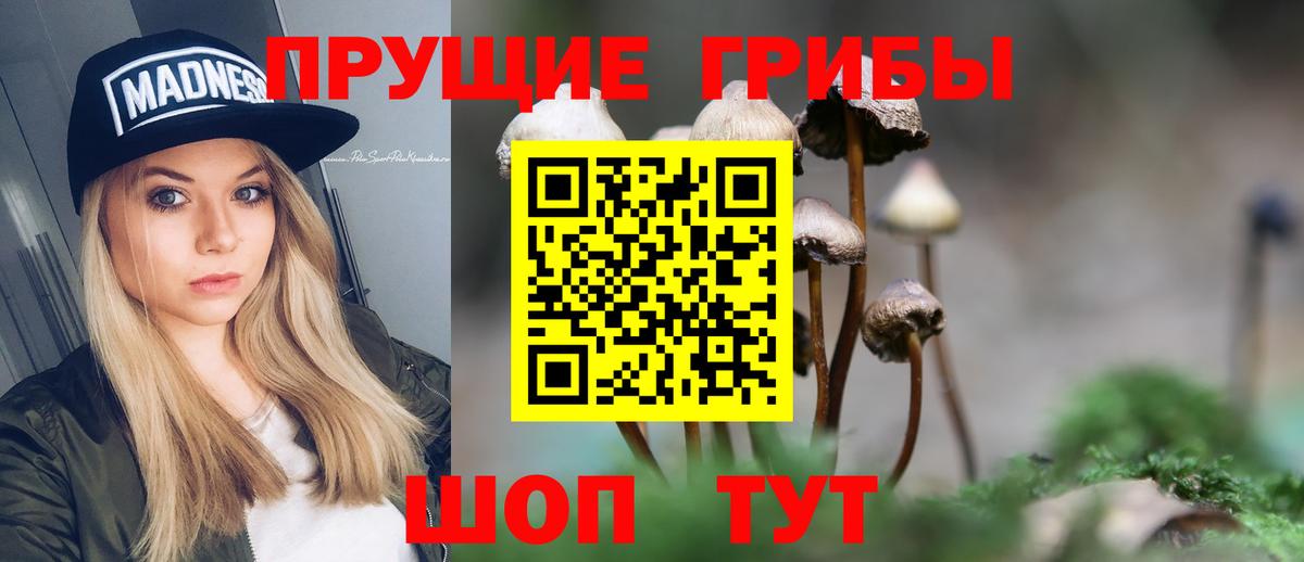 Псилоцибиновые грибы ЛСД  Галлюциногенные грибы мицелий  Вход с VPN  Среднеуральск 